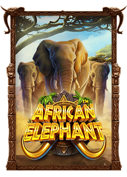 ว ธ แทงบอลสเต ป sbobet ให้มันส์แบบเซียนยังไงดี 555